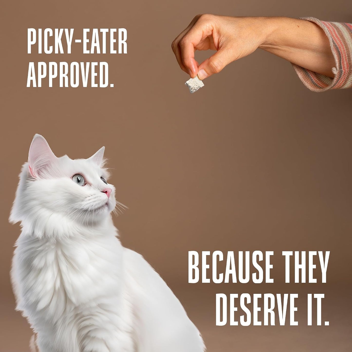 Hypoallergenic low fat freeze dried cat snacks for picky eaters