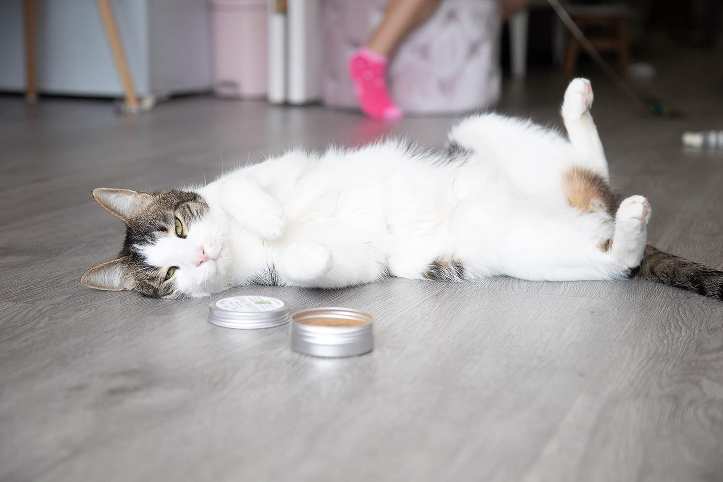 Authentic packaging of Meowy Janes silver vine alternative cat supplement
