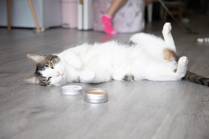 Authentic packaging of Meowy Janes silver vine alternative cat supplement