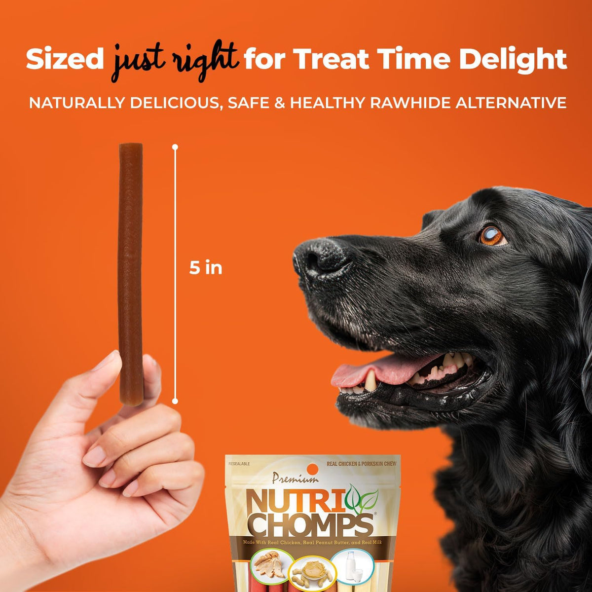Nutri Chomps raw ingredients breakdown showing pork skin and real chicken recipe highlights.