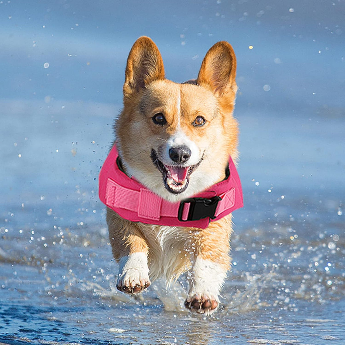 Secure velcro chest straps on a ripstop nylon dog safety coat