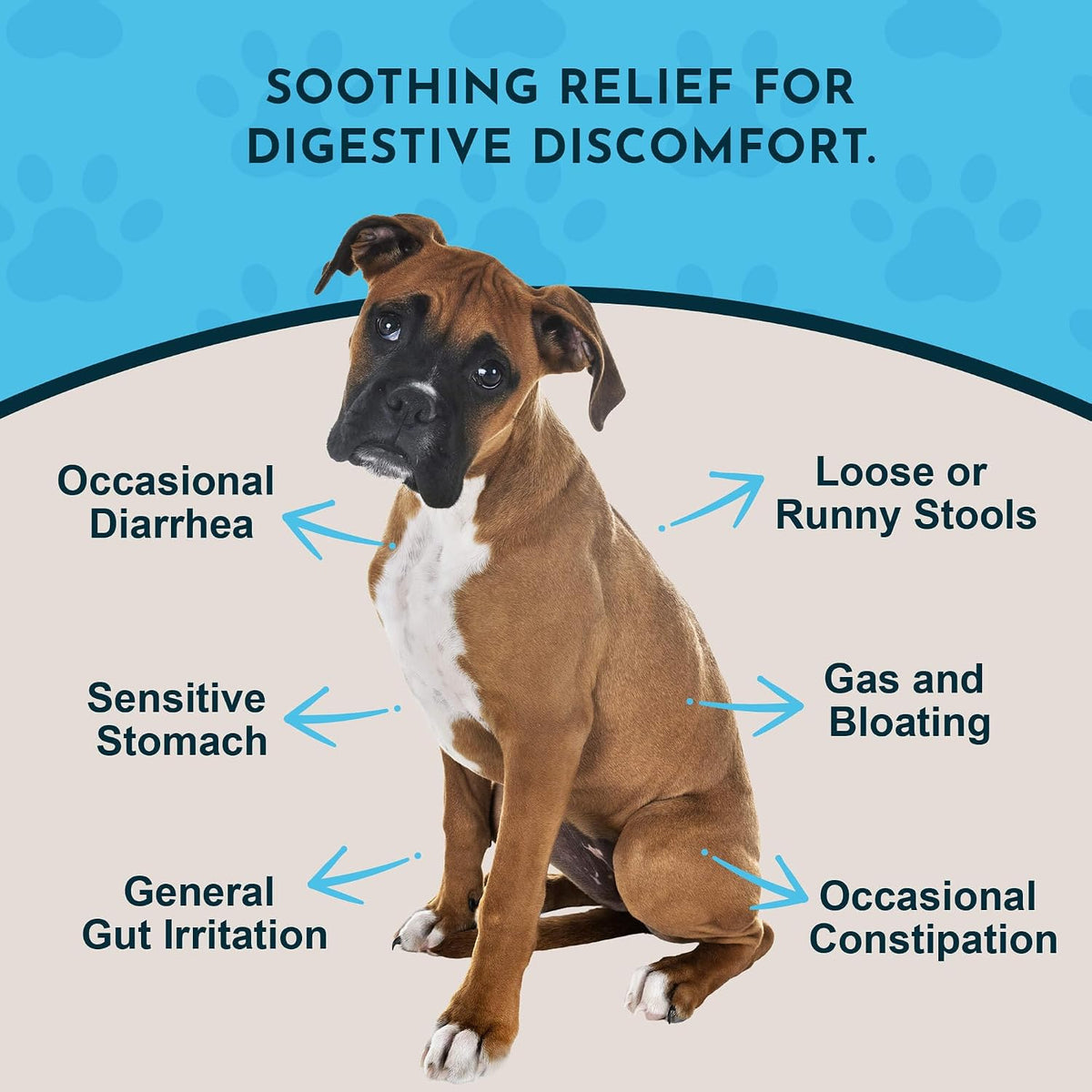 Animal Essentials organic liquid herbal extract for pet digestive health showing NASC seal