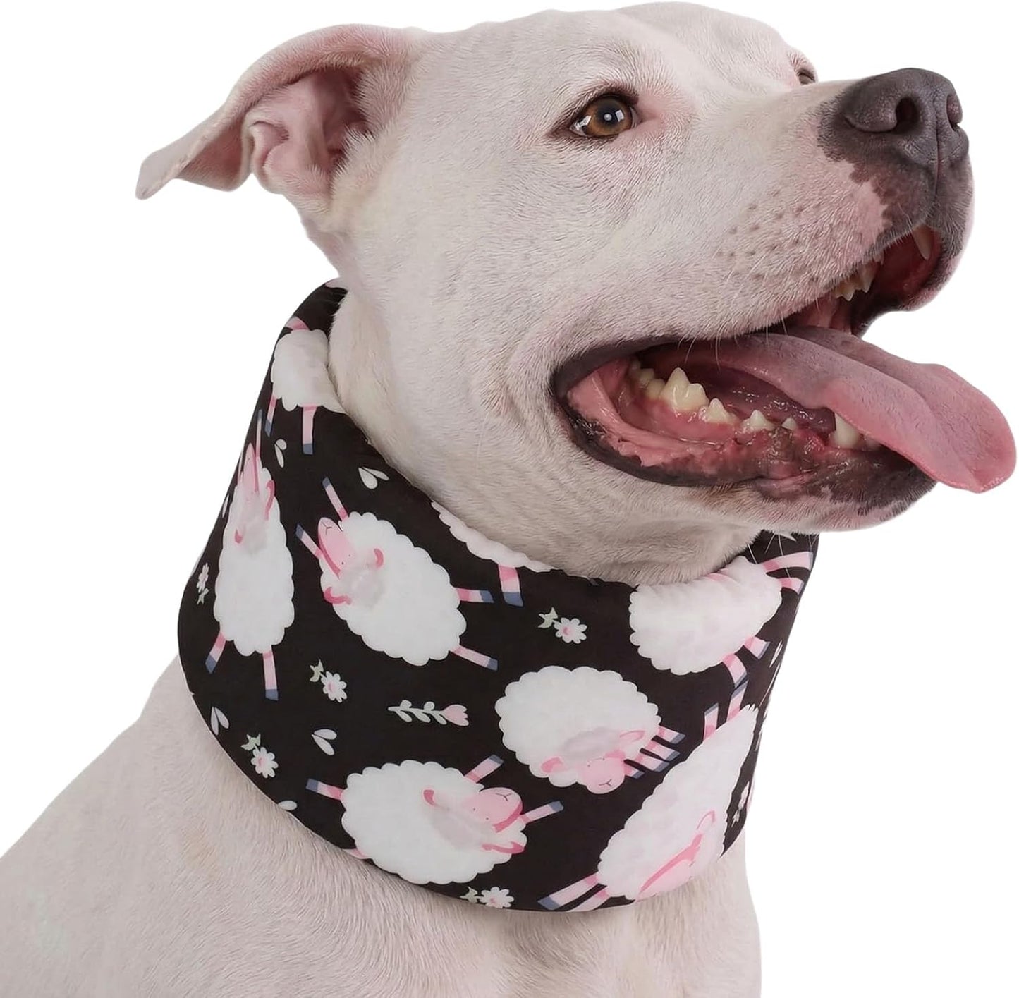 LovinPet Dog Recovery Collar, Adjustable Soft Cone for Medium & Large Dogs, Post-Surgery Comfort & Lick Prevention, Jurassic Dinosaur Print,Yellow - Image 14