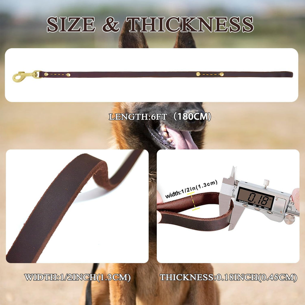 Leadfar heavy duty leather leash showing reinforced stitching and double rivets