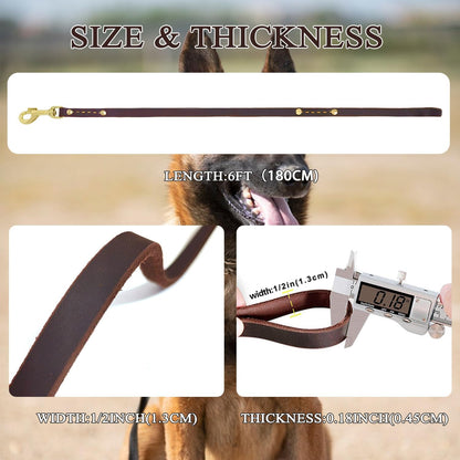 Leadfar heavy duty leather leash showing reinforced stitching and double rivets