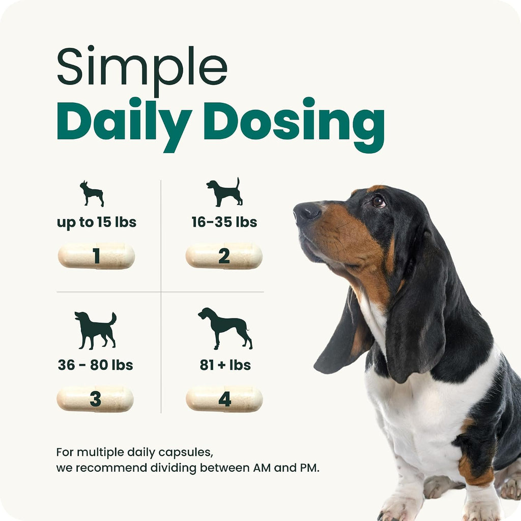 Side profile of VetriScience Healthy Spine and Disc bottle