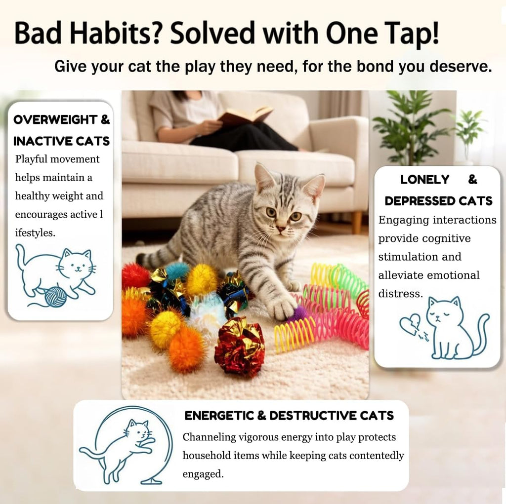 Domestic kitten playing with a colorful LASOCUHOO spiral spring toy