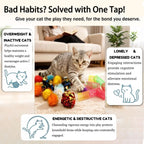 Domestic kitten playing with a colorful LASOCUHOO spiral spring toy