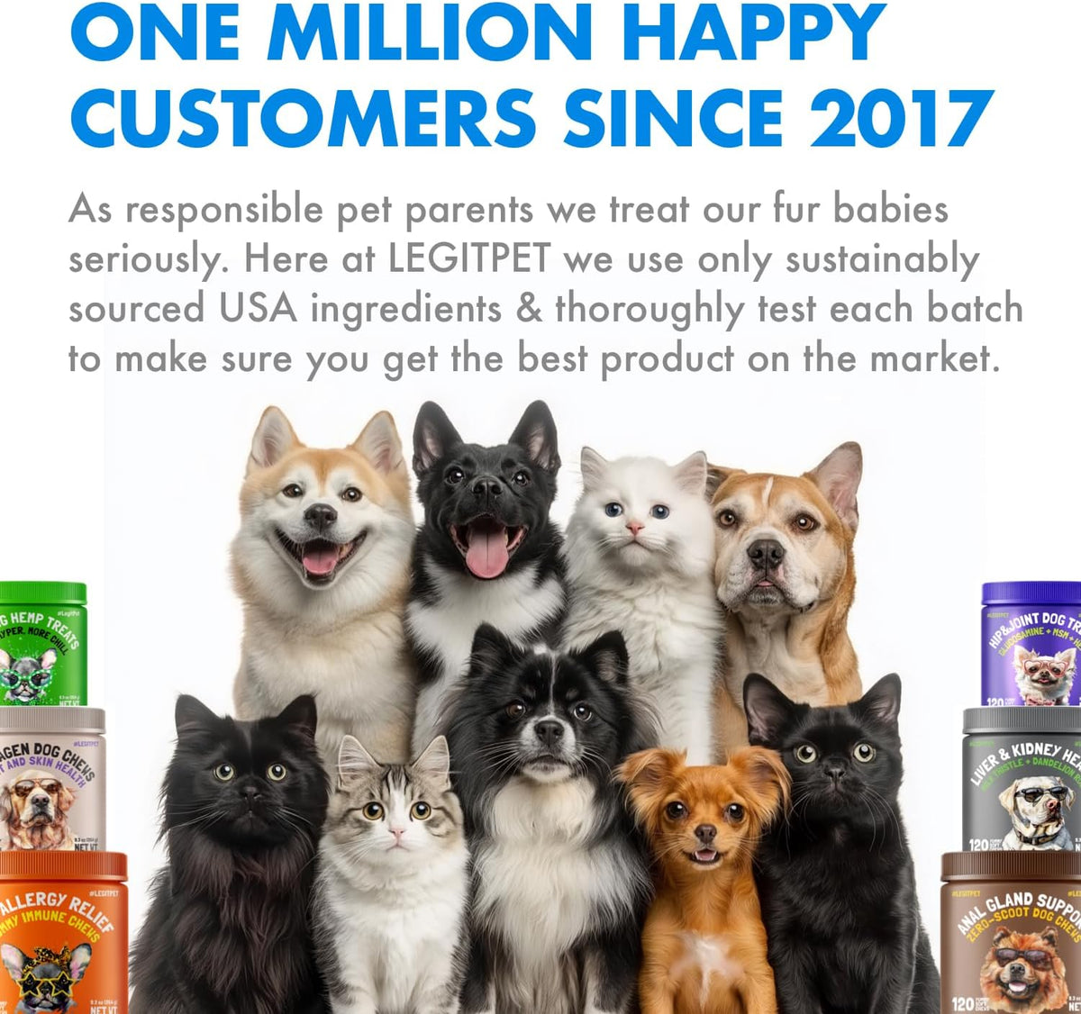 Legitpet wellness cat vitamins with biotin and essential nutrients.