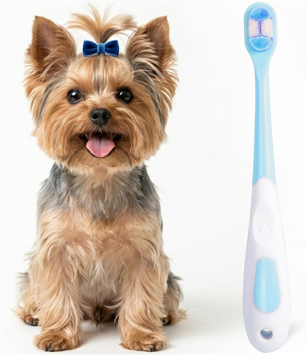 Detailed packaging view of MoonyMars pet dental cleaning kit