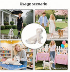 Bubble-Fly clear dog slicker showing the breathable air mesh lining interior design