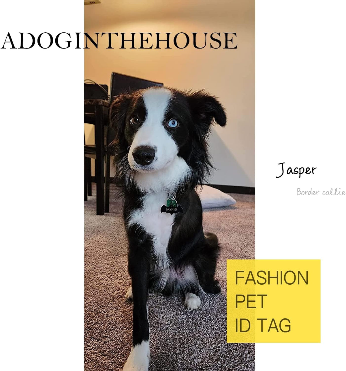 ADOGINTHEHOUSE personalized bat shape dog nameplate on collar accessory