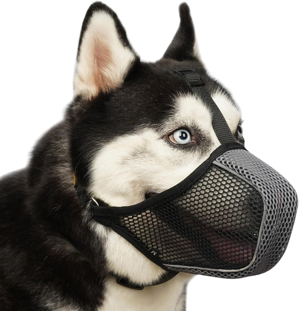 Mayerzon soft mesh dog muzzle front view