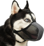 Mayerzon soft mesh dog muzzle front view
