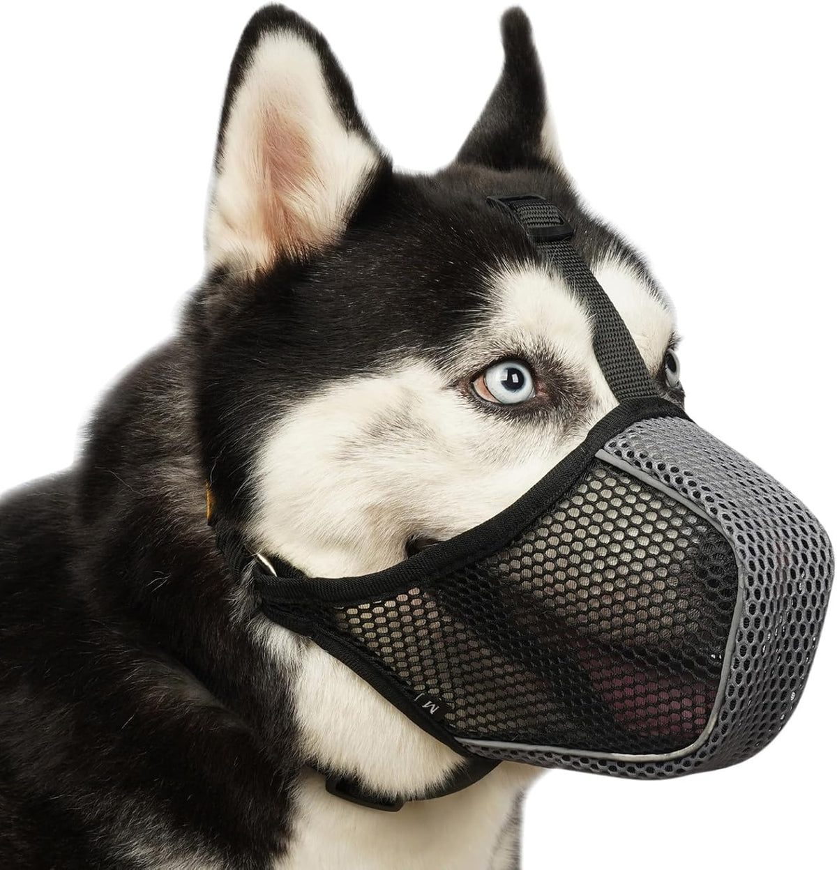 Mayerzon soft mesh dog muzzle front view