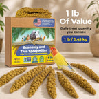 Close up of sun dried millet seeds for parakeets
