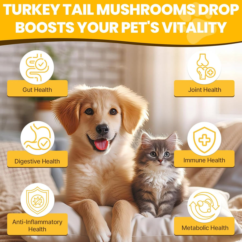Jazytiko five mushroom pet drops with turmeric and probiotics for canine yeast infection relief.