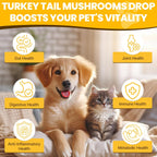 Jazytiko five mushroom pet drops with turmeric and probiotics for canine yeast infection relief.