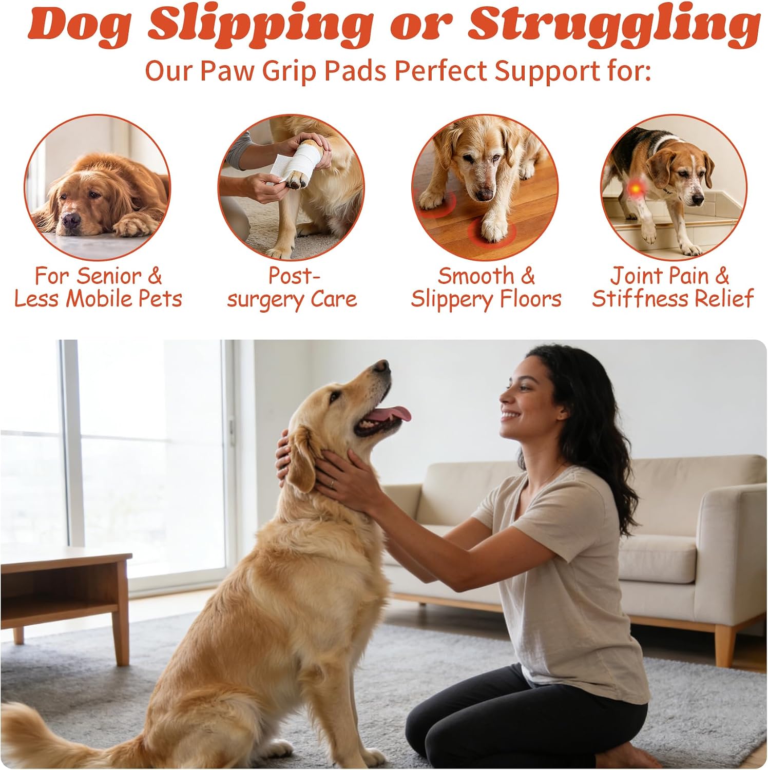 Senior dog walking on hardwood floor with traction pads