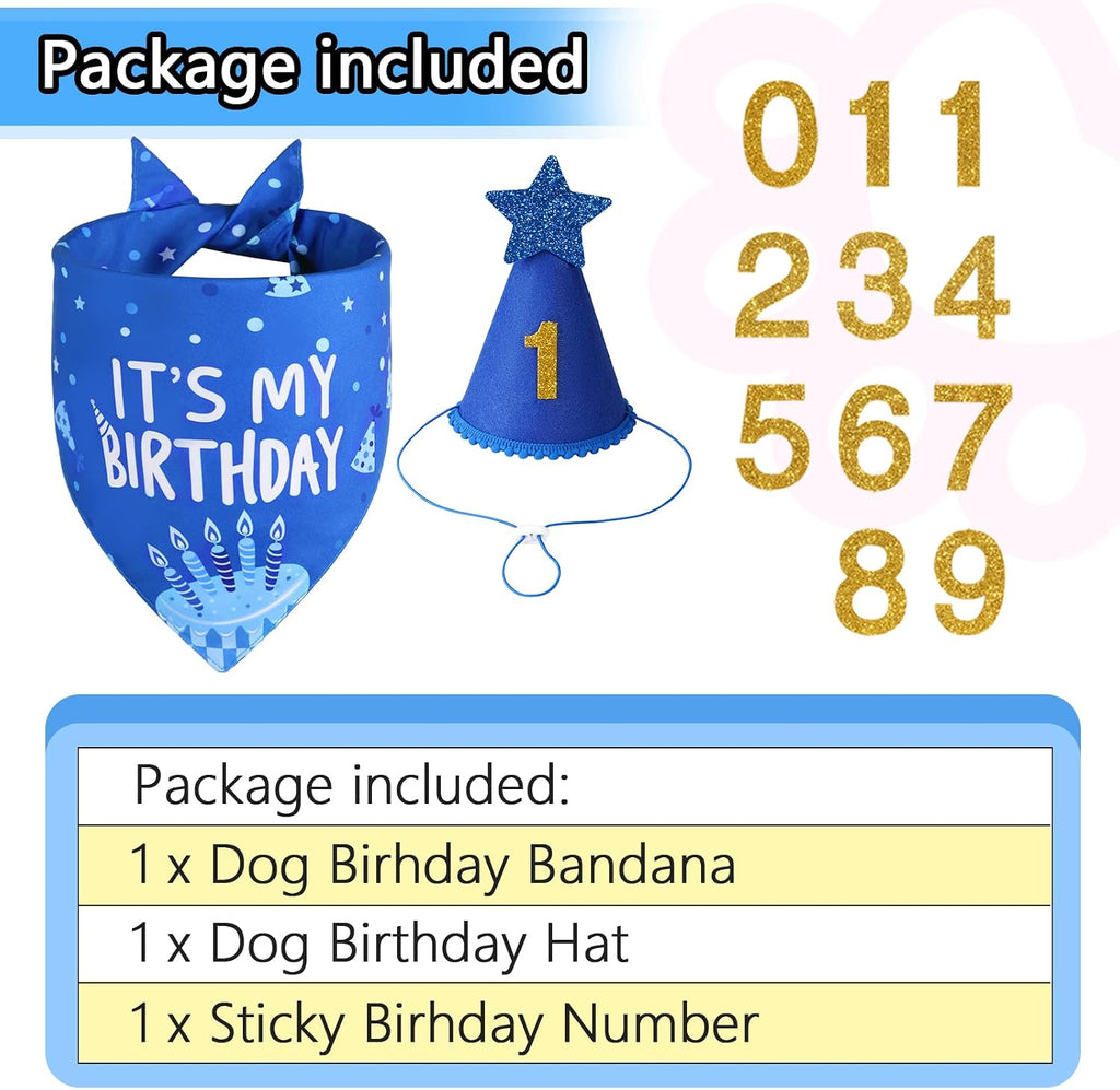 Agroon puppy celebration hat featuring a glittering star pom poms and adjustable velcro