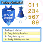 Agroon puppy celebration hat featuring a glittering star pom poms and adjustable velcro