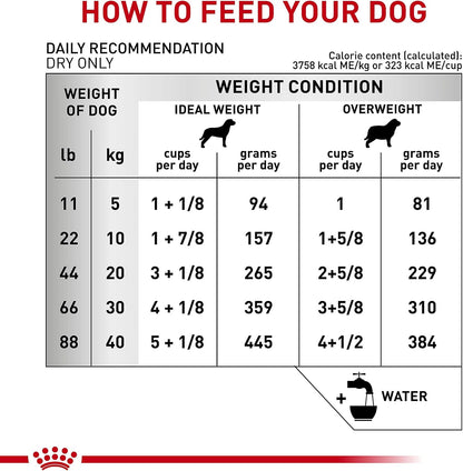 Royal Canin Veterinary Diet Canine Ultamino Adult Dry Dog Food, 19.8 lb Bag - Image 11