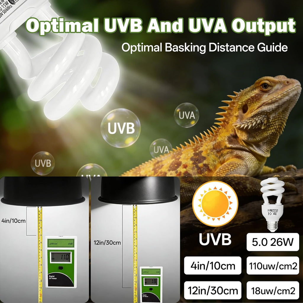 Five percent UVB and thirty percent UVA reptile bulb for optimal calcium absorption.