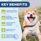 Freeze dried omega 3 6 9 bites for dog hip and joint health