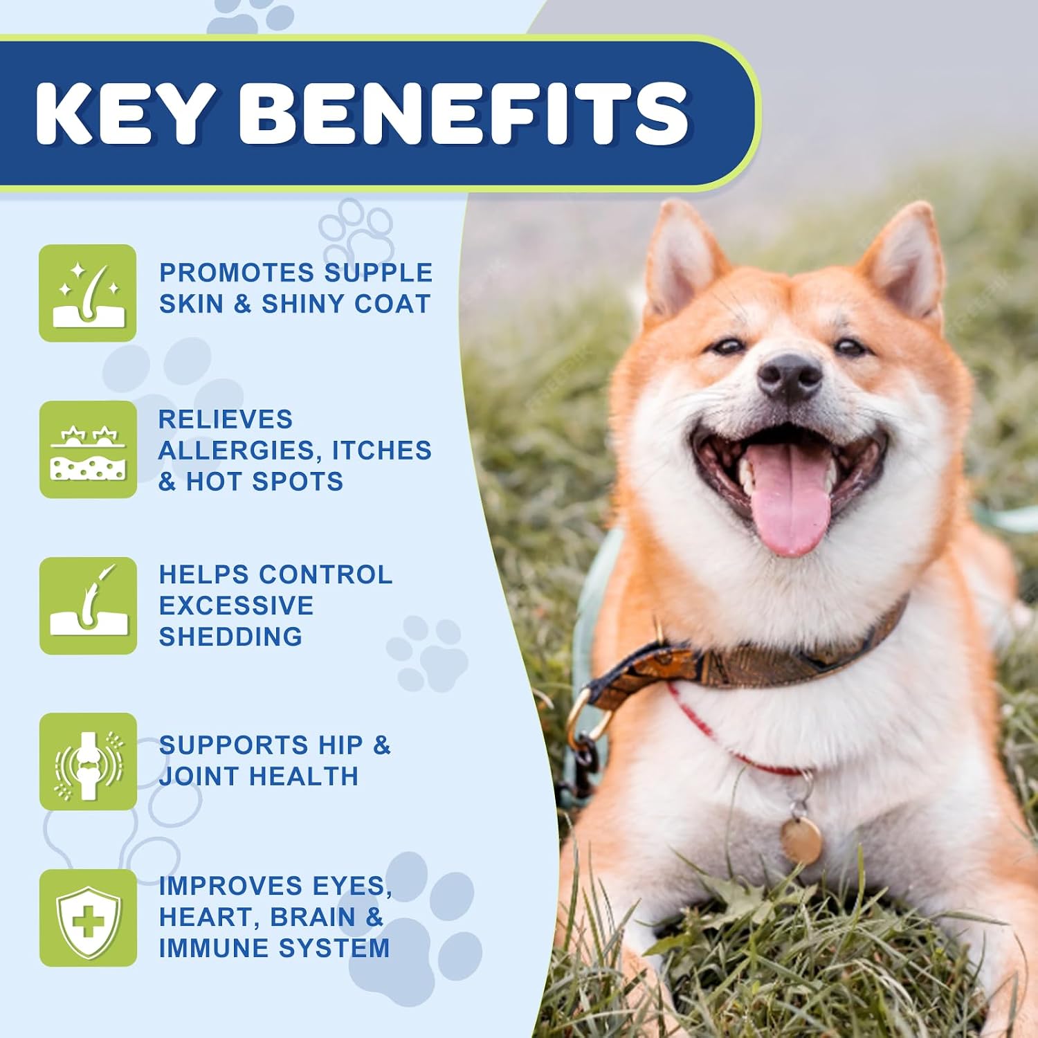 Freeze dried omega 3 6 9 bites for dog hip and joint health