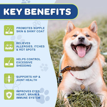 Freeze dried omega 3 6 9 bites for dog hip and joint health