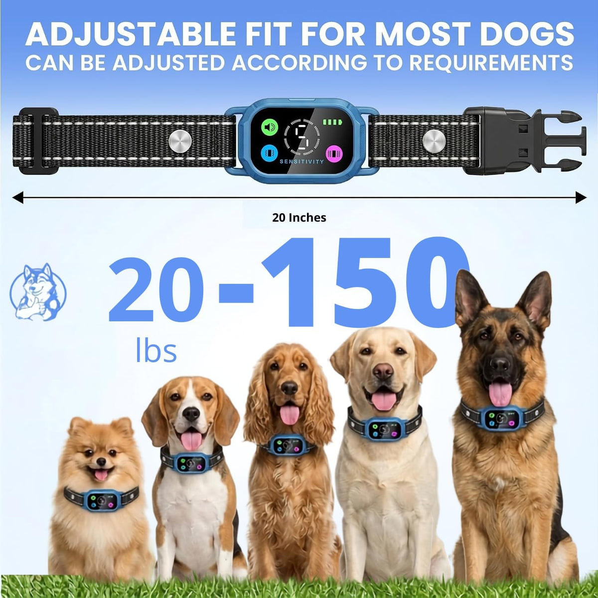 Close up of digital display on Uberdawgz training device