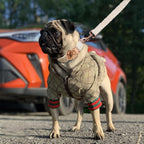 Functional front zipper of small dog winter hoodie