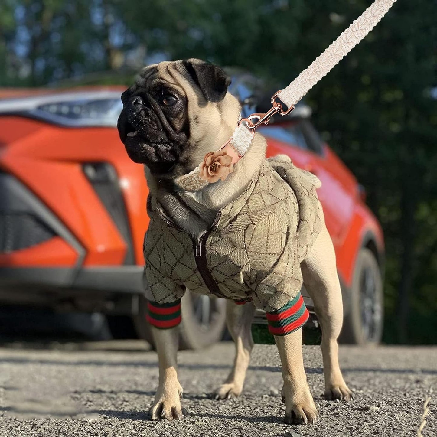 Functional front zipper of small dog winter hoodie