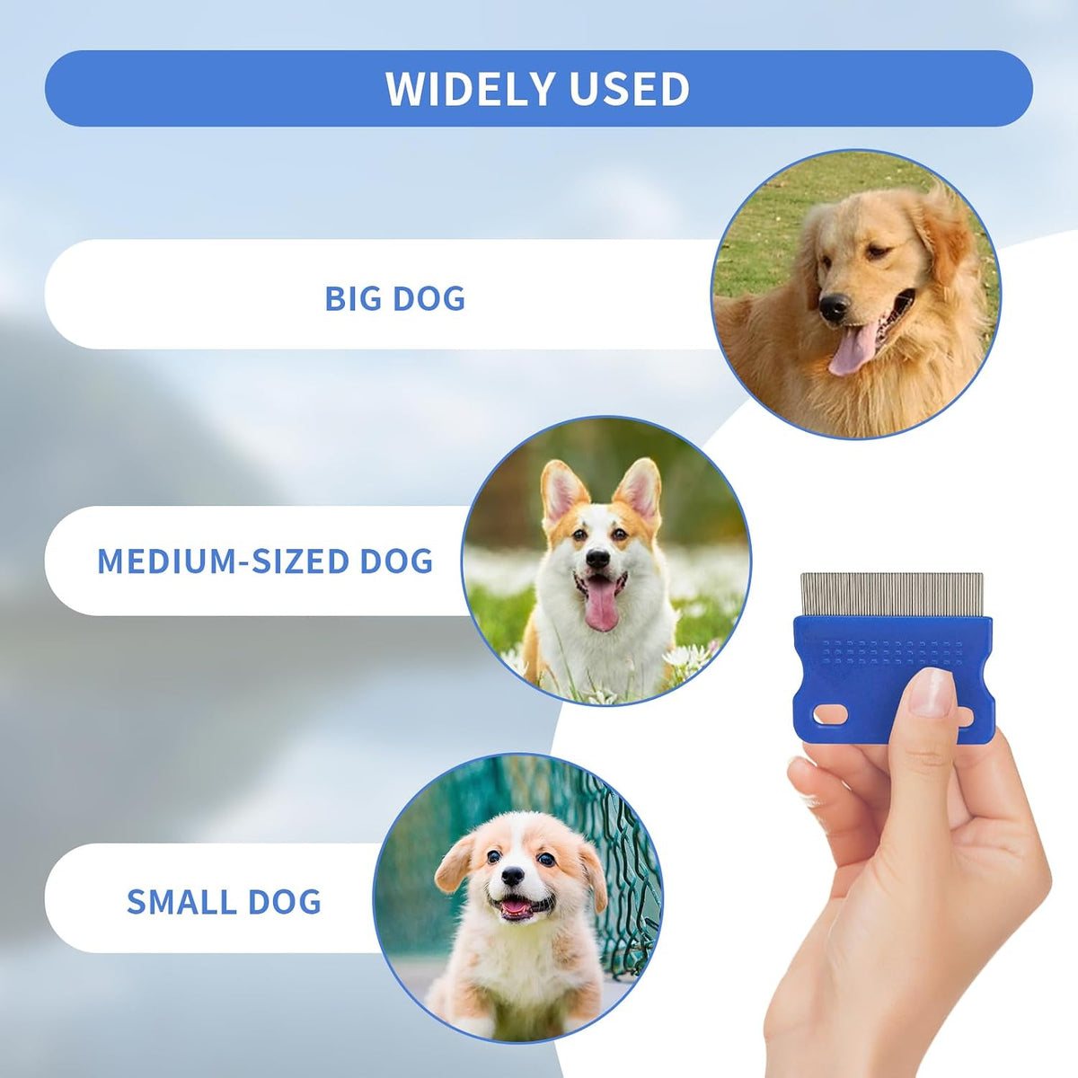 Set of professional pet flea and lice removal tools