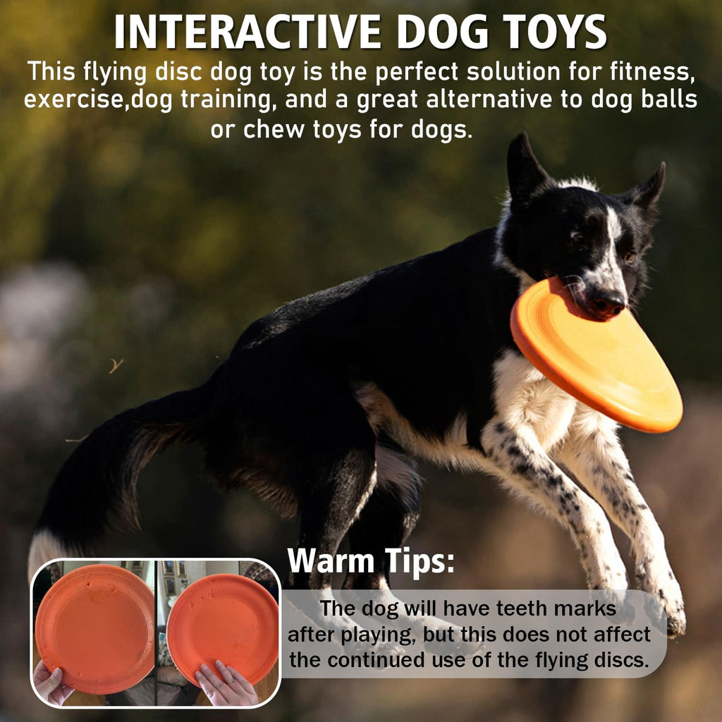 Orange rubber dog flying disc used as travel water bowl