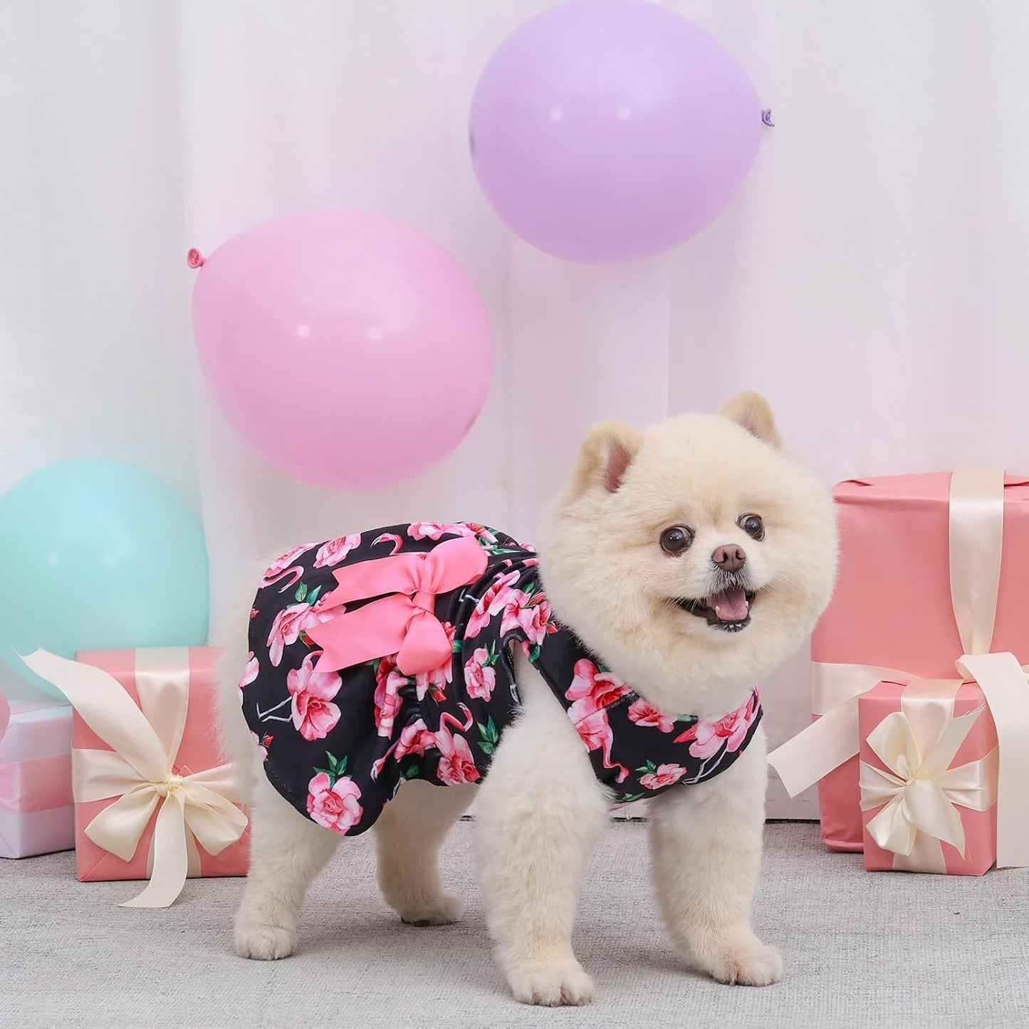 CuteBone small dog apparel pullover style close up