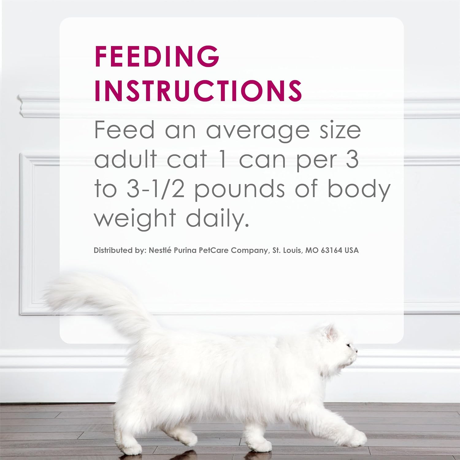 Purina Fancy Feast Savory Centers serving suggestion on plate