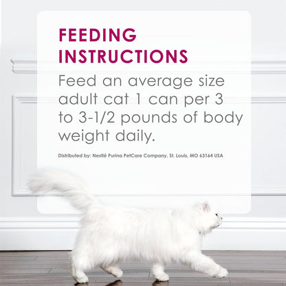 Purina Fancy Feast Savory Centers serving suggestion on plate