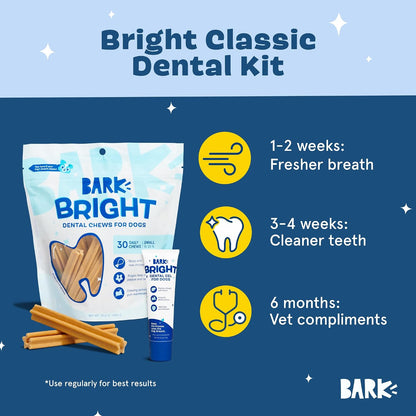 Small breed dog enjoying a Barkbox Bright dental stick