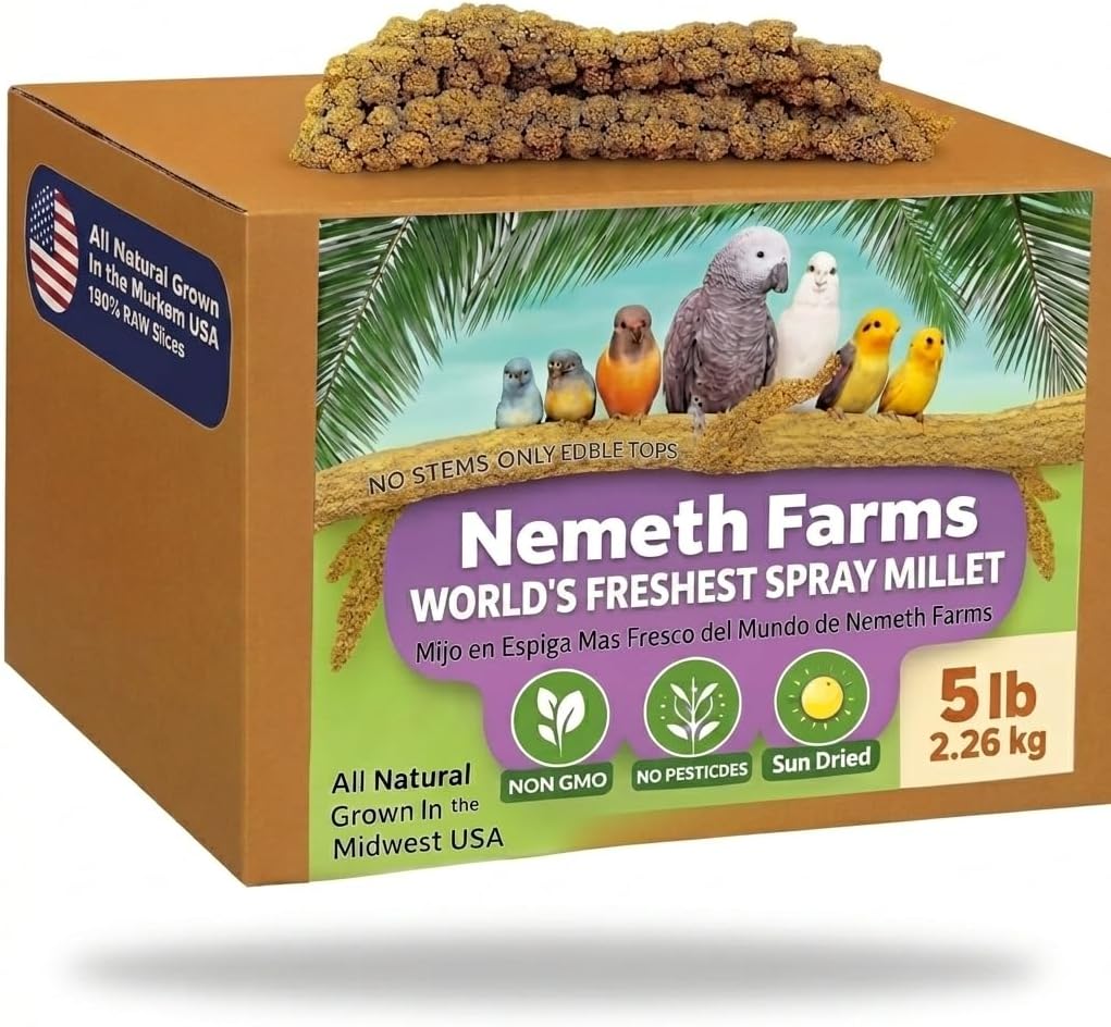 Nemeth Farms Spray Millet - Edible Tops Only, Non-GMO and Sun-Dried - 1 lb for Parakeets, Canaries and Finches - Image 11