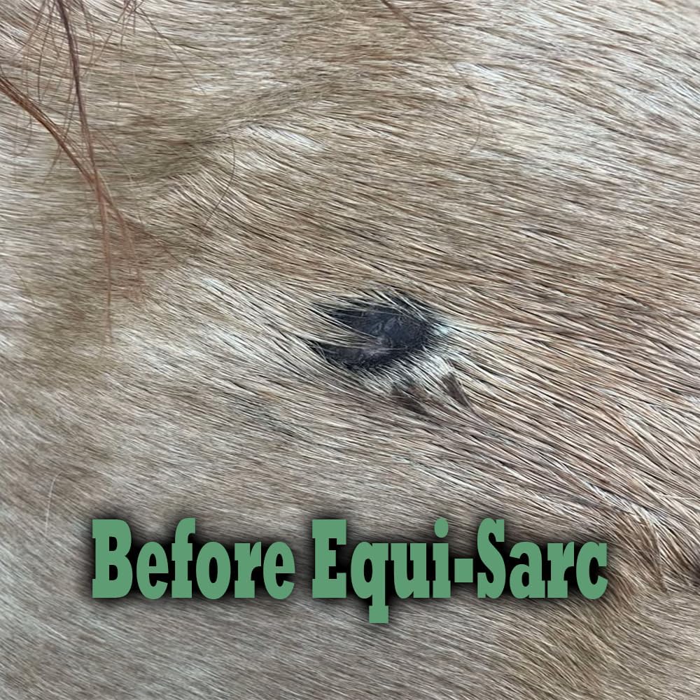 Equi-SARC topical cream for horses showing packaging details