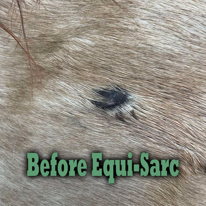 Equi-SARC topical cream for horses showing packaging details