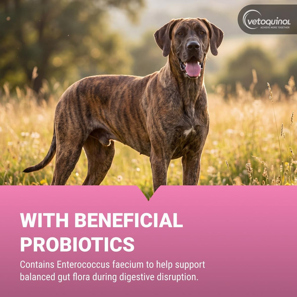 Vetoquinol Pro-Pectalin NASC quality seal and supplement information