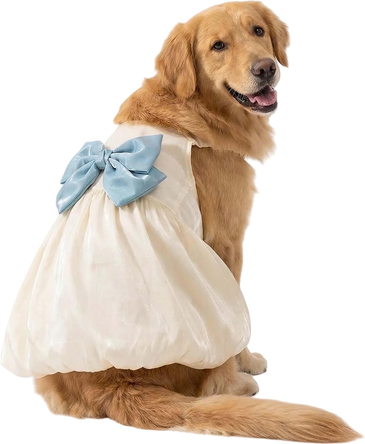 FLAdorepet large dog princess dress front view on a golden retriever breed