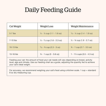 Now Fresh adult recipe premium dry kibble for sensitive stomachs.