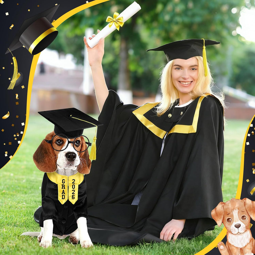 Huhumy black and yellow dog graduation gown rear view highlighting the metal buckle