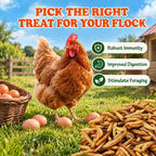 Amzey 11 LB Dried Black Soldier Fly Larvae, High-Calcium Chicken Treats - Image 5