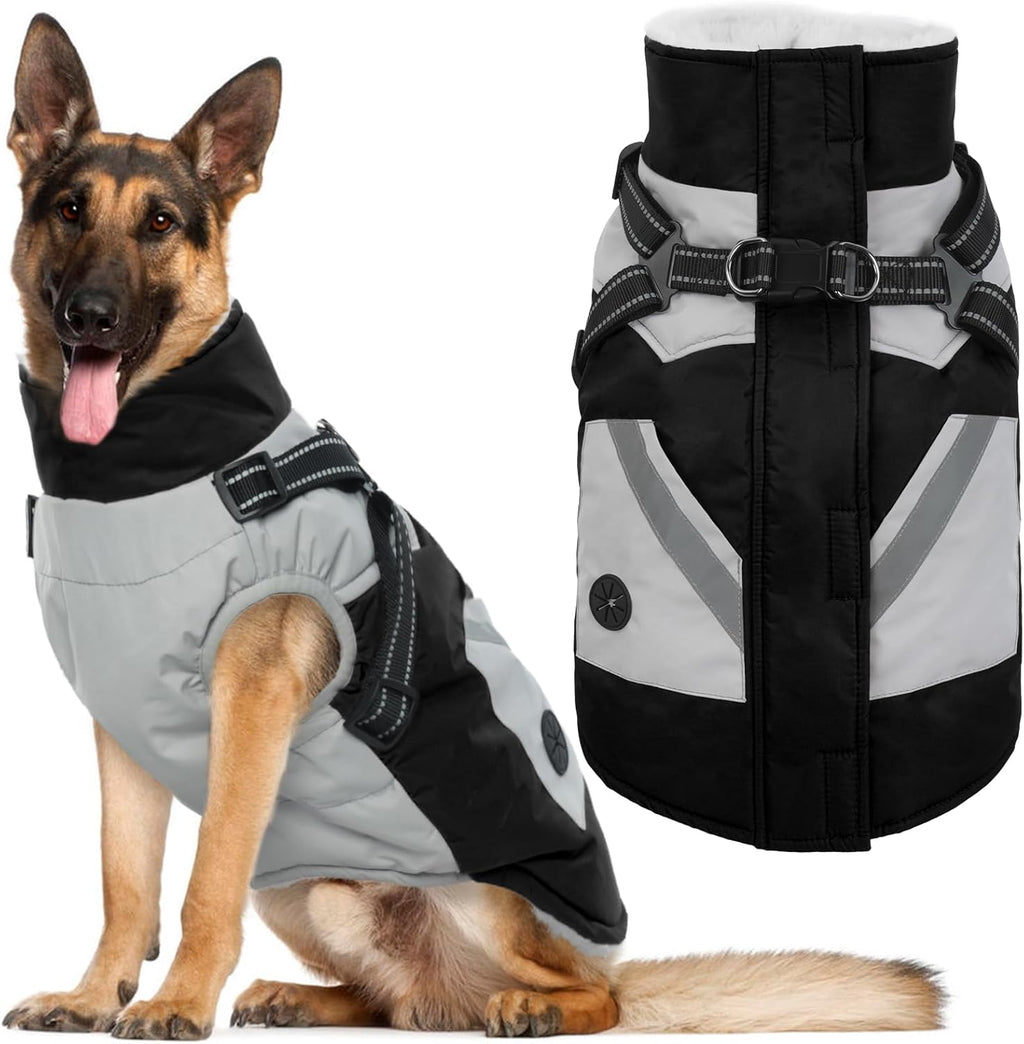 Dog wearing IECOii winter coat outdoors in snowy weather