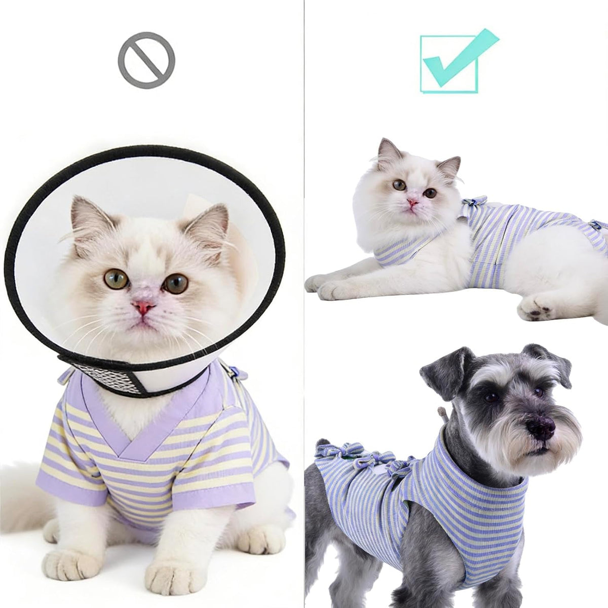 Cat wearing Lamiaraga recovery suit side view