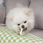 MON2SUN premium imported pet treats side profile